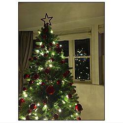 リビング/イルミネーション/クリスマス/クリスマスツリーのインテリア実例 - 2016-11-18 21:25:55