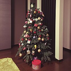 リビング/クリスマスツリー150cm/雑貨のインテリア実例 - 2016-11-24 16:36:07
