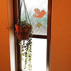 壁/天井/窓/植物/モビールのインテリア実例 - 2013-01-22 16:06:44