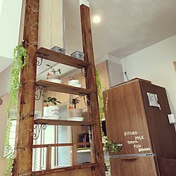 キッチン/観葉植物/100均/DIY/セリア...などのインテリア実例 - 2017-07-05 14:17:56