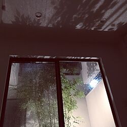 ベッド周り/シンプル/観葉植物/中庭/シマトネリコのインテリア実例 - 2016-09-29 19:31:01