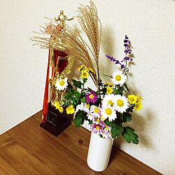 リビング/植物/花瓶/100均のインテリア実例 - 2014-11-26 10:14:06