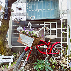 カゴ寄せ植え/キッズ用ビーチクルーザー/ビーチクルーザー/自転車ディスプレイ/寄せ植え...などのインテリア実例 - 2023-02-04 10:25:18