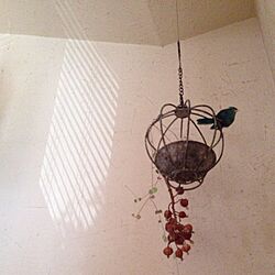 壁/天井/植物/鳥のインテリア実例 - 2013-08-06 13:20:56