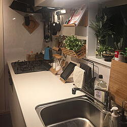 キッチン/IKEA/観葉植物/北欧のインテリア実例 - 2017-12-12 21:03:36