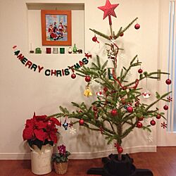 クリスマス/IKEA/植物のインテリア実例 - 2013-12-01 18:01:59