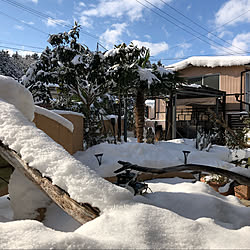 雪まみれ/南国風ガーデン/東北の冬/雪景色の庭/ガネーシャの石像...などのインテリア実例 - 2020-12-21 12:12:23