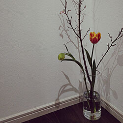 部屋全体/ダブルデイの花瓶/枝物を飾るのインテリア実例 - 2022-02-20 11:06:26
