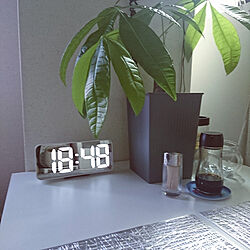 キッチン/IKEAの時計☆/パキラ/ホワイトインテリア/ホワイト...などのインテリア実例 - 2021-06-11 18:50:23