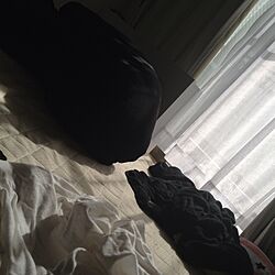 ベッド周り/ベッド/朝/白黒のインテリア実例 - 2015-01-16 04:38:30