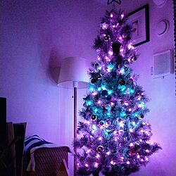 リビング/クリスマス/クリスマスツリー/クリスマスツリー180cmのインテリア実例 - 2023-11-27 08:55:25