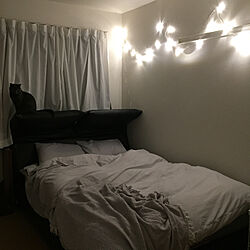 ベッド周り/LEDライトチェーン/IKEA/猫/ねこ部...などのインテリア実例 - 2017-11-01 23:55:45