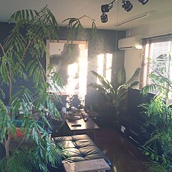 壁/天井/アクセントクロス/アートフレーム/観葉植物のインテリア実例 - 2015-05-30 06:31:15