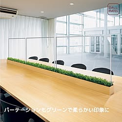 ついたて/緑のある空間/観葉植物/イミテーショングリーン/インテリアグリーン...などのインテリア実例 - 2023-11-03 09:00:17