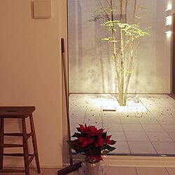玄関/入り口/クリスマスのインテリア実例 - 2016-11-25 13:07:53