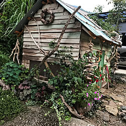 ベッド周り/石積みのある庭/連投すみません/バラ大好き♡/鶏小屋...などのインテリア実例 - 2017-07-23 19:00:46