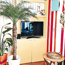 部屋全体/西海岸/フェニックスロベレニー/tropical/my room...などのインテリア実例 - 2016-11-13 12:21:50