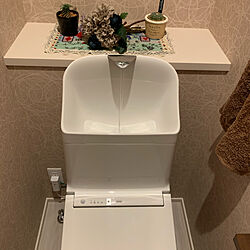 トイレ 手洗い/観葉植物/バス/トイレのインテリア実例 - 2021-02-07 22:31:35