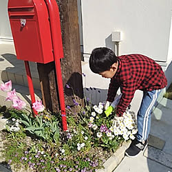 土にまくだけ害虫退治オールスター/アースガーデン/害虫対策/植物のある暮らし/ガーデニング...などのインテリア実例 - 2020-04-25 14:57:49