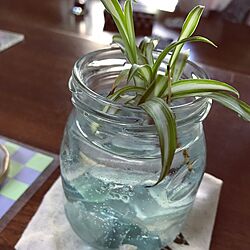 キッチン/シーグラス/観葉植物/シーグラス 瓶詰めのインテリア実例 - 2017-05-22 16:17:36