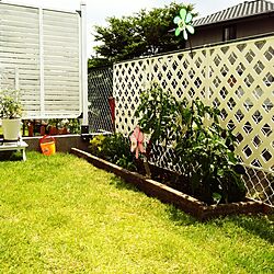 庭/家庭菜園のインテリア実例 - 2014-06-26 10:27:25