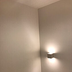 壁/天井/照明/漆喰の壁のインテリア実例 - 2018-12-22 01:03:45