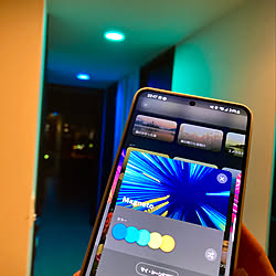 Philips Hueアンバサダー/スマート家電/Philips Hue/電気節約/SDGsの小さな取り組み...などのインテリア実例 - 2022-05-23 00:02:25