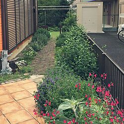 玄関/入り口/庭/ハンドメイド/DIY/ガーデンのインテリア実例 - 2015-06-14 10:42:02