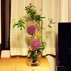 棚/お花のインテリア実例 - 2014-06-05 23:44:56