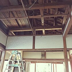 壁/天井/DIYのインテリア実例 - 2016-11-15 23:08:27