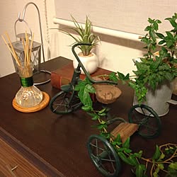 棚/一人暮らし/雑貨/観葉植物のインテリア実例 - 2015-04-13 23:23:27