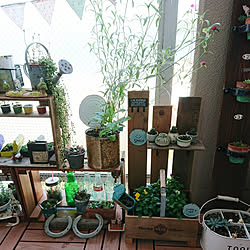 棚/DIY/小石原焼/NO GREEN NO LIFE/植物のある暮らし...などのインテリア実例 - 2018-10-09 09:53:09