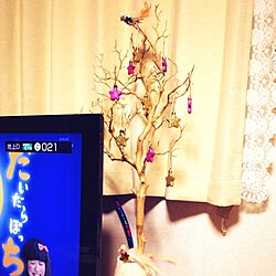 リビング/クリスマスツリー/クリスマス/オーナメント/枝ツリーのインテリア実例 - 2016-11-30 21:52:23