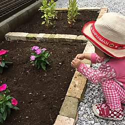 玄関/入り口/花壇の花/花壇ＤＩＹ/こどもと暮らす。/子供がいる家のインテリア実例 - 2016-05-11 17:51:36