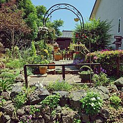 庭/DIY/ガーデン雑貨/ガーデニング/花のある暮らし...などのインテリア実例 - 2024-05-16 21:39:57