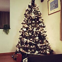 リビング/クリスマスツリー/しろが好き/living room/B&B italiaのインテリア実例 - 2016-12-18 21:21:14