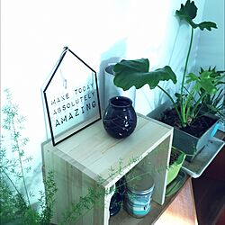 棚/インテリアグリーン/DIY/観葉植物のインテリア実例 - 2016-03-29 07:21:05