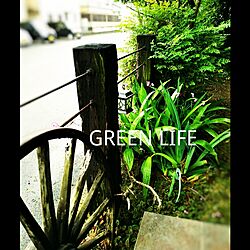 玄関/入り口/植物/green/庭木/紫蘭...などのインテリア実例 - 2016-05-10 16:14:10