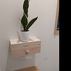 バス/トイレ/観葉植物のある暮らし/コレ、DIYしたよ！/DIY/観葉植物...などのインテリア実例 - 2024-01-21 09:18:56