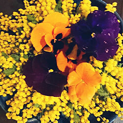 棚/お花のある暮らし/お花大好き/癒されます♡/友達からのプレゼント...などのインテリア実例 - 2020-03-14 06:39:45