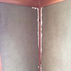 息子の部屋/DIY/砂壁のインテリア実例 - 2016-08-21 20:39:38