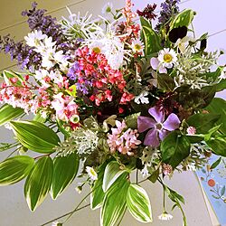 キッチン/ちむぽん/❤︎をありがとう/❤︎RoomClipの出会いに感謝☻*/satochan garden＊の花...などのインテリア実例 - 2017-04-27 18:44:36