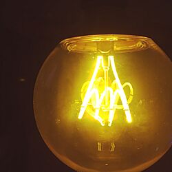 リビング/ダイニング照明/IKEA/IKEA 照明のインテリア実例 - 2016-08-24 10:41:23