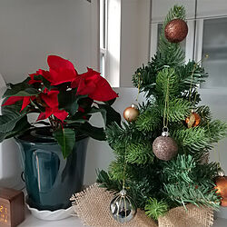 キッチン/クリスマス/クリスマスツリー/クリスマスディスプレイ/クリスマス飾り...などのインテリア実例 - 2021-11-21 12:34:51