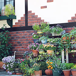 庭の植物たち/庭の花を飾る/グリーンが好き/グリーンのある暮らし/レンガ壁...などのインテリア実例 - 2021-04-25 21:57:27