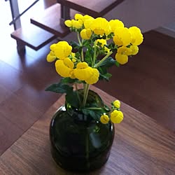 階段/フラワーベース/雑貨/植物/春のインテリア実例 - 2013-03-02 17:22:22