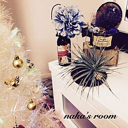 リビング/エアープランツ/リメ缶/リメ瓶/クリスマスツリーのインテリア実例 - 2015-12-05 19:42:23