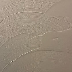 シンプル/トイレDIY/漆喰壁DIY/バス/トイレのインテリア実例 - 2022-12-31 10:57:35