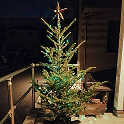玄関/入り口/クリスマス/IKEA/クリスマスツリー☆/もみの木...などのインテリア実例 - 2018-11-30 20:53:52