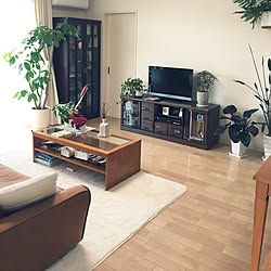 部屋全体/いつもありがとうございます♡/いいね&フォローありがとうございます♡/観葉植物のインテリア実例 - 2017-07-15 07:12:28